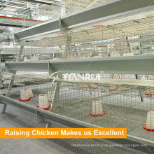 A type pullet automatic chicken poultry cage